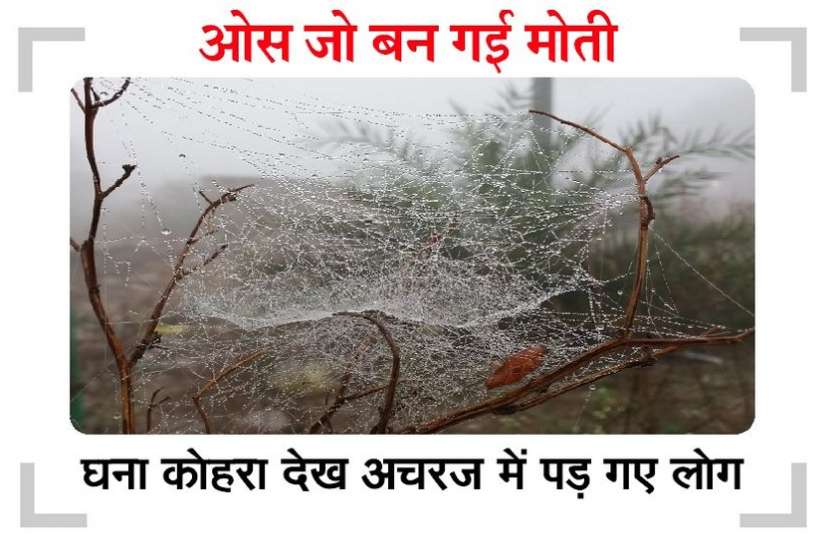 कोहरे में लिपटी रही सुबह, रेंगकर चलते रहे वाहन कोहरे में लिपटी रही सुबह, रेंगकर चलते रहे वाहन