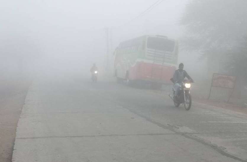 कांठल में फिर कोहरा और शीतलहर कांठल में फिर कोहरा और शीतलहर