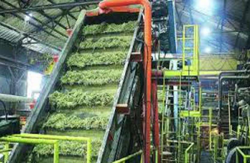 देश में चीनी का उत्पादन 142.70 लाख टन हुआ, छत्तीसगढ़ समेत कई राज्यों का अहम योगदान देश में चीनी का उत्पादन 142.70 लाख टन हुआ, छत्तीसगढ़ समेत कई राज्यों का अहम योगदान