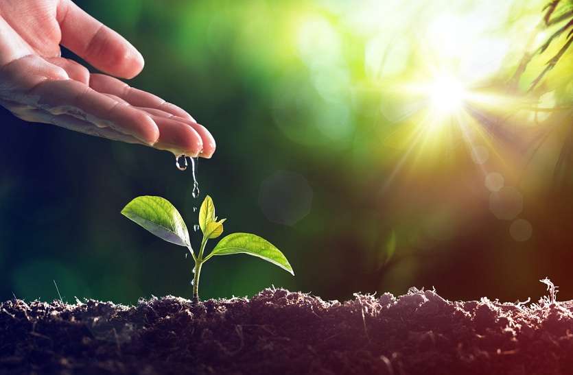 SAVE EARTH : इन आसान उपायों से बचाएं पृथ्वी और पर्यावरण, वरना सिर्फ मलाल बचेगा ! SAVE EARTH : इन आसान उपायों से बचाएं पृथ्वी और पर्यावरण, वरना सिर्फ मलाल बचेगा !