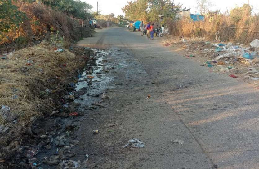 Paper cleaning campaign कागजों में सिमटा सफाई अभियान