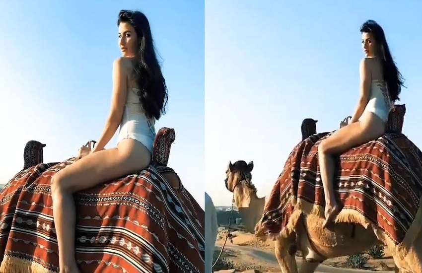 Arbaaz Khan's girlfriend Giorgia Andriani wearing a bikini rides a camel, the video went viral