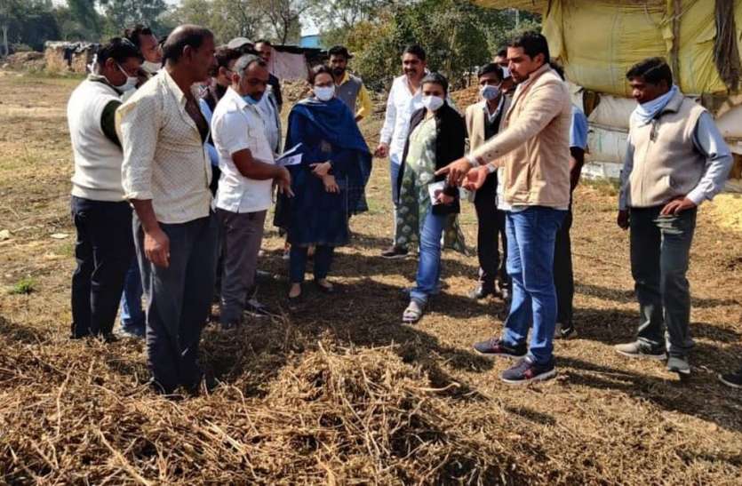 केंद्र सरकार की टीम ने फसल खराबे का किया सर्वे केंद्र सरकार की टीम ने फसल खराबे का किया सर्वे