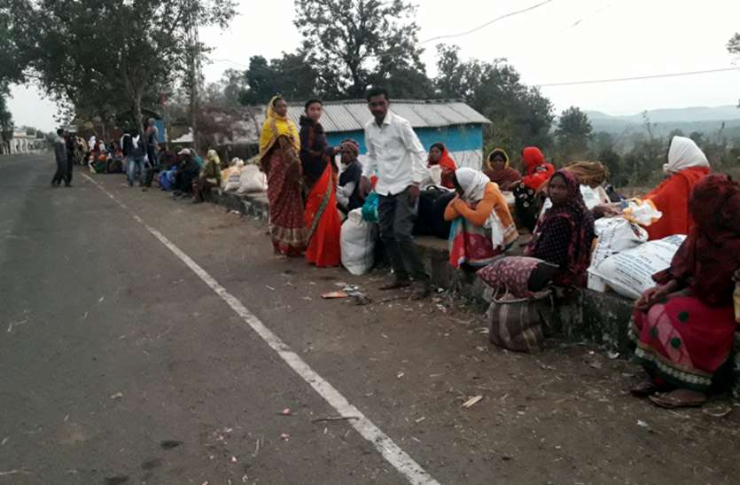 गांव में खाली बैठने से अच्छा बाहर मिर्ची तोड़ें गांव में खाली बैठने से अच्छा बाहर मिर्ची तोड़ें