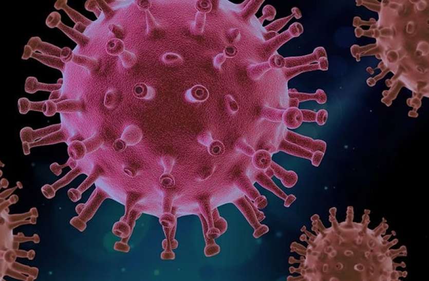 New China Swine Fever Strains Point To Unlicensed Vaccines कोरोना के बाद चीन में फैला नया स्वाइन फीवर, घटिया वैक्सीन से फैला संक्रमण !