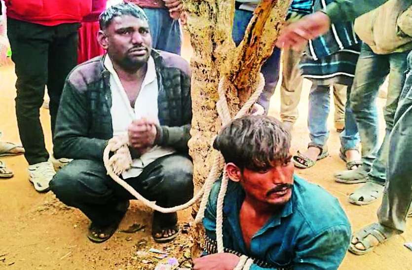 मवेशी चुराने आए चोरों को दबोचा, रातभर कमरे में बंद रखा, सुबह पेड़ से बांधकर पीटा मवेशी चुराने आए चोरों को दबोचा, रातभर कमरे में बंद रखा, सुबह पेड़ से बांधकर पीटा