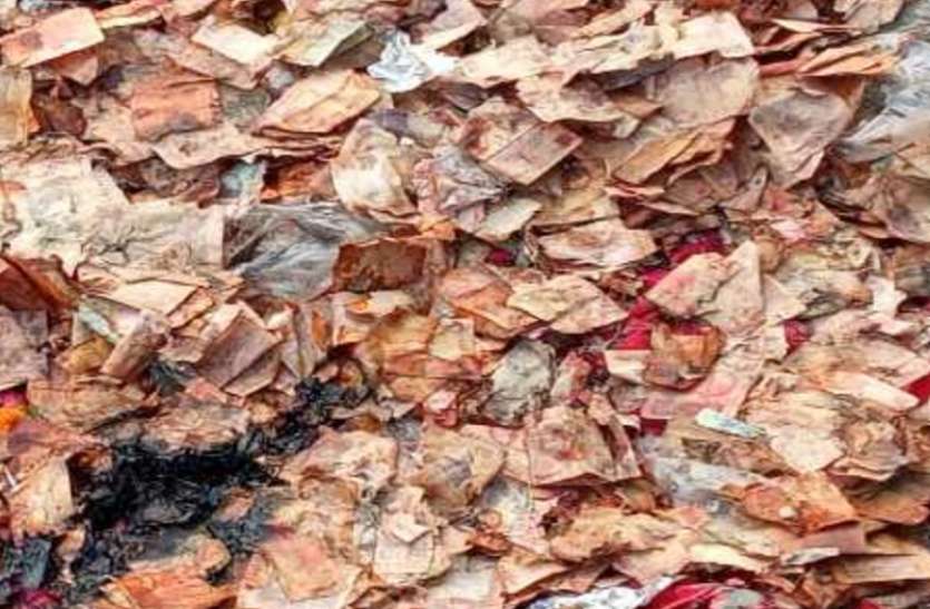 10 to 500 rupees notes found scattered on the roadside near CM Mamta Banerjee's residence ममता बनर्जी के आवास के नजदीक मिले 10 से 500 के जले-कटे नोट, BJP ने बताया जांच का विषय