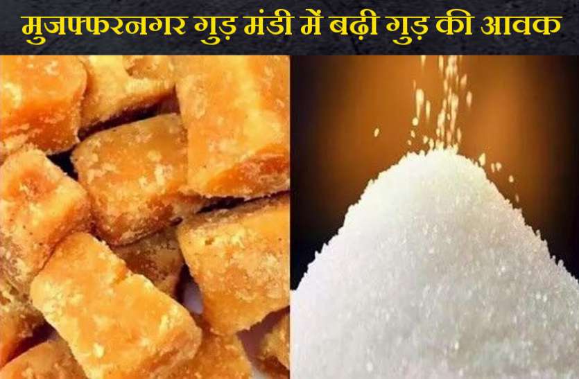 muzaffarnagar_1.jpg गुड़ चाकू, शक्कर और चीनी हुआ बड़ा बदलाव, जानिये आज के भाव