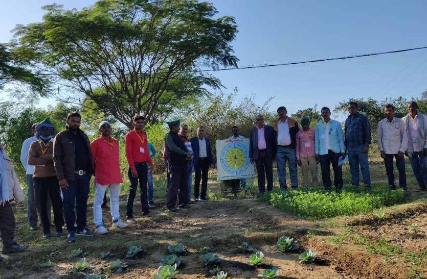 Farmers of the divisional headquarters reached this tribal district to learn farming संभागीय मुख्यालय के किसान खेती सीखने पहुंचे इस आदिवासी जिले में
