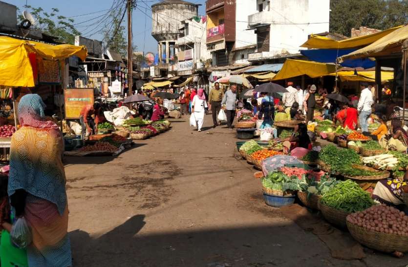 Vegetable production decreased due to cold wave, yet the price decreased शीतलहर की मार में घटा सब्जी उत्पादन फिर भी घटे दाम