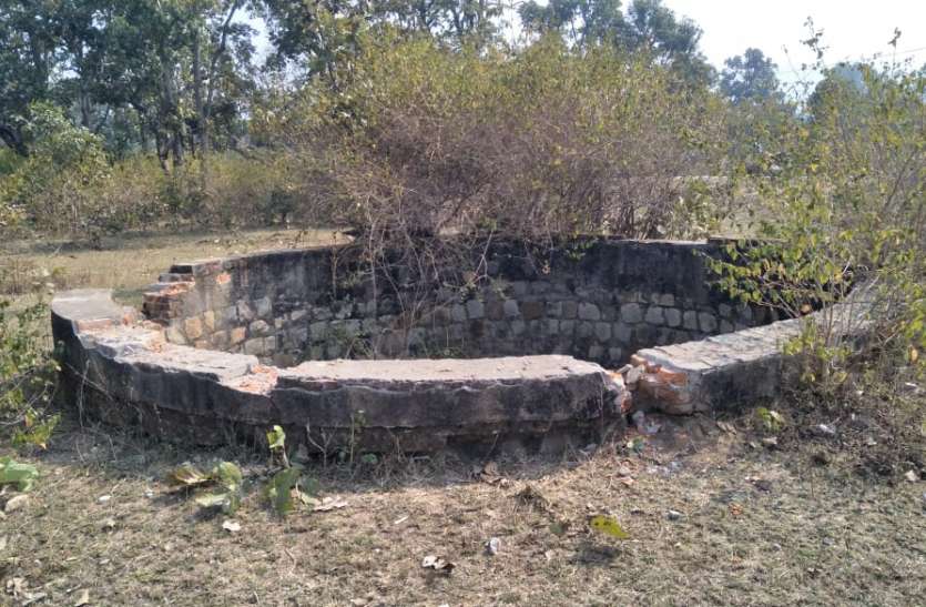 Chital's corpse in the well, forest officials conducted funeral कुंआ में चीतल की लाश, वन अधिकारियों ने जांच कर किया अंतिम संस्कार