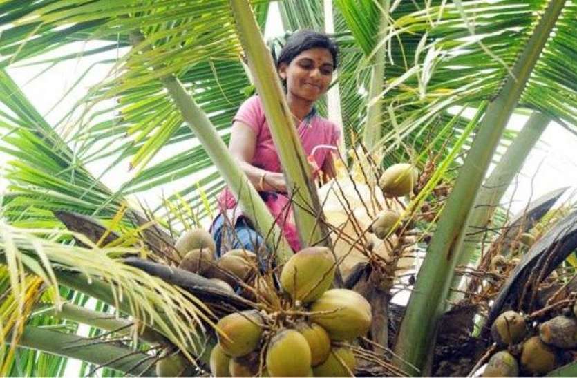 Govt take big step to make happy South Indian farmers, income will rise साउथ इंडिया के किसानों को खुश करने के लिए सरकार ने उठाया बड़ा कदम, बढ़ जाएगी इनकम