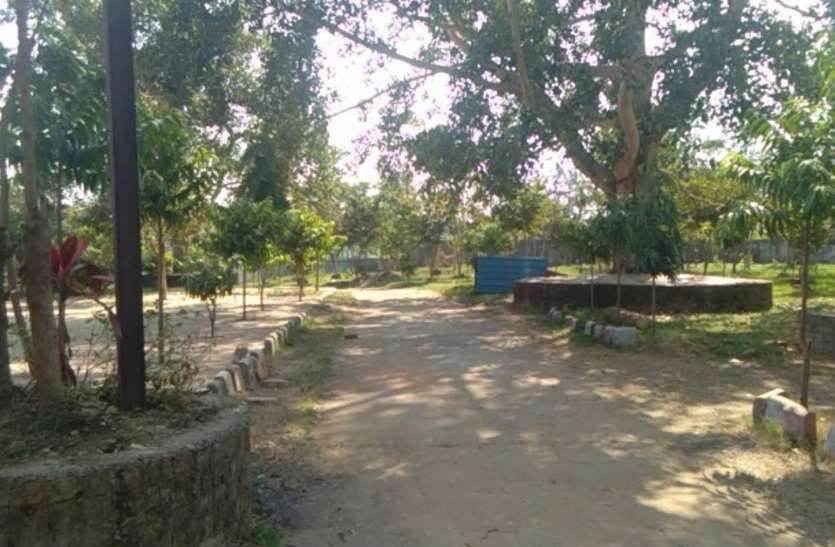 नगर पालिका व जनसहयोग से बदल दी मुक्तिधाम की तस्वीर नगर पालिका व जनसहयोग से बदल दी मुक्तिधाम की तस्वीर