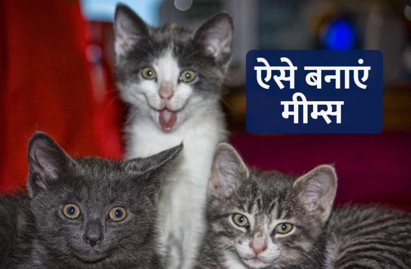how_to_make_memes.jpg यूं बना सकते हैं सोशल मीडिया के लिए मीम्स