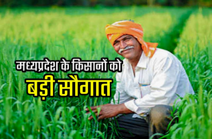 kisan.png किसानों को सौगात : 20 लाख किसानों के खाते में कल डाले जाएंगे सम्मान निधि के 400 करोड़ रुपये