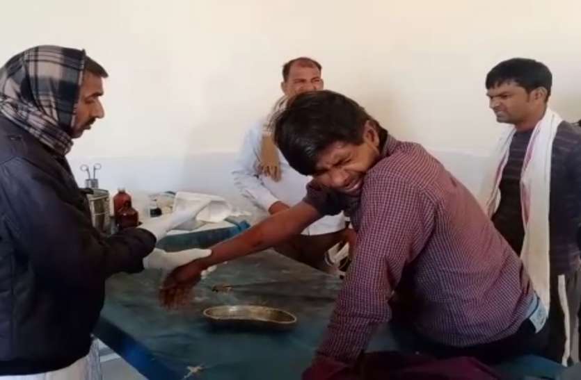 बंदरों के झुण्ड ने उपसरपंच सहित चार पर किया हमला बंदरों के झुण्ड ने उपसरपंच सहित चार पर किया हमला