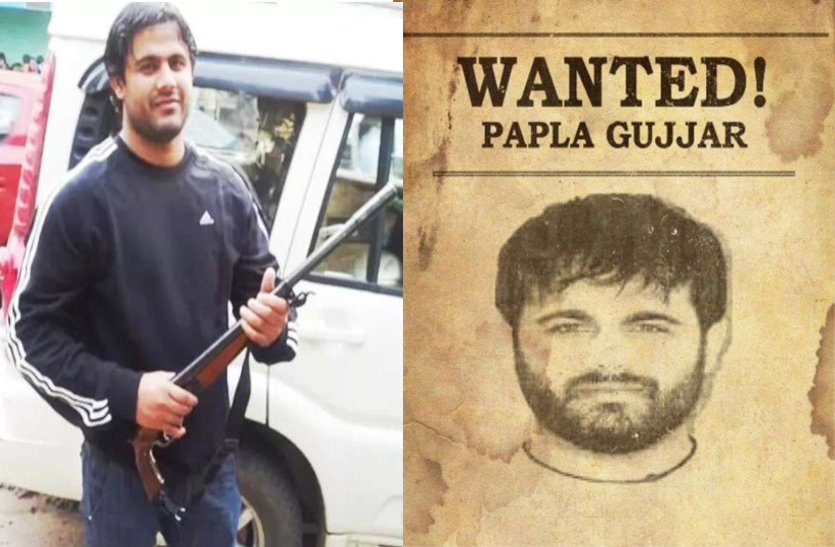 Most Wanted Papla Gurjar Arrested From Kolhapur Maharashtra Papla Gurjar को महाराष्ट्र के कोल्हापुर से गिरफ्तार किया, महिला मित्र के साथ रह रहा था, पढ़िए ऑपरेशन की पूरी खबर