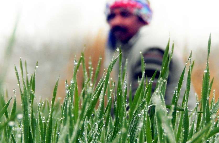 rajasthan Cold weather forecast today 28 january 2021 राजस्थान मौसमः फतेहपुर जमाव बिंदू पर, माउंट आबू माइनस तीन, 31 तक नौ जिलों में जारी रहेगी शीतलहर