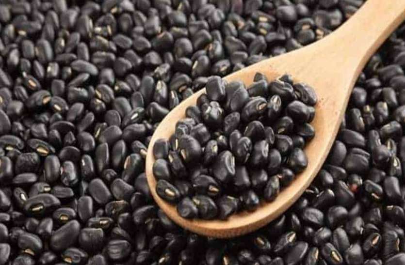 black urad एक मुट्ठी काले उड़द से बदल जाएगी आपकी किस्मत, रातों-रात बन सकते हैं करोड़पति