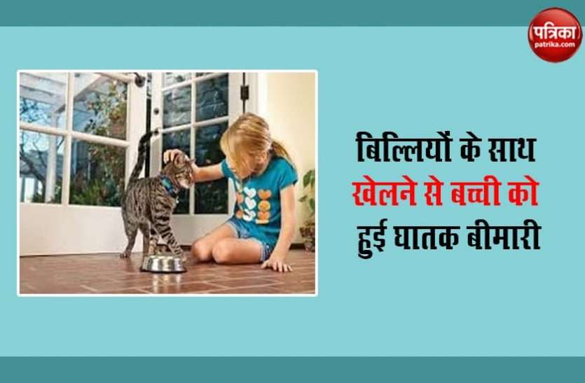 Taxo-Parakenis बिल्लियों के साथ खेलने से बच्ची को हुई घातक बीमारी, चली गईं एक आंख की रोशनी