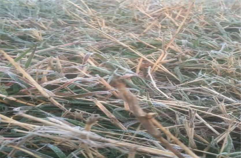 Cold city with cold winds सर्द हवाओं से ठिठुरा शहर, न्यूनतम पारा पहुंच रहा पांच डिसे से नीचे