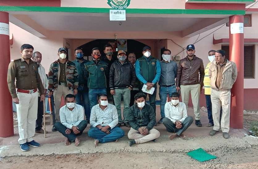 Four accused arrested for selling pangolin वन्यप्राणी शिकार के देश में सर्वाधिक 27 मामलों का डब्ल्यूसीसीबी मध्यक्षेत्र ने किया खुलासा