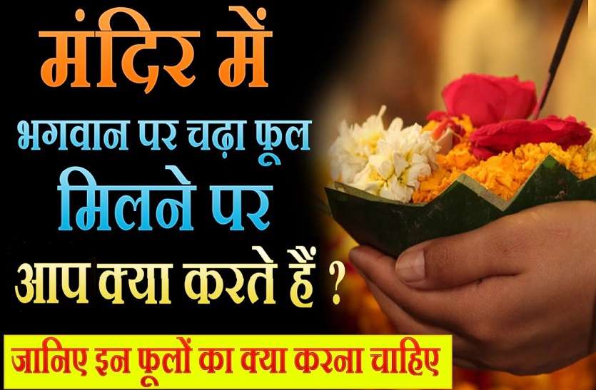 What To do When you Get flower from temple मंदिर से भगवान पर चढ़े हार-फूल मिलें तो उनका साथ ऐसा क्या करें? कि पाप न लगे, जानिये यहां