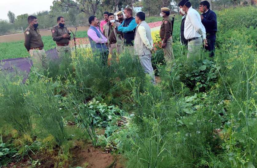 a4_1.jpg पुलिस ने एक-एक करके उखाड़े 42 हजार पौधे, जानें जयपुर में हुई कार्रवाई की वजह