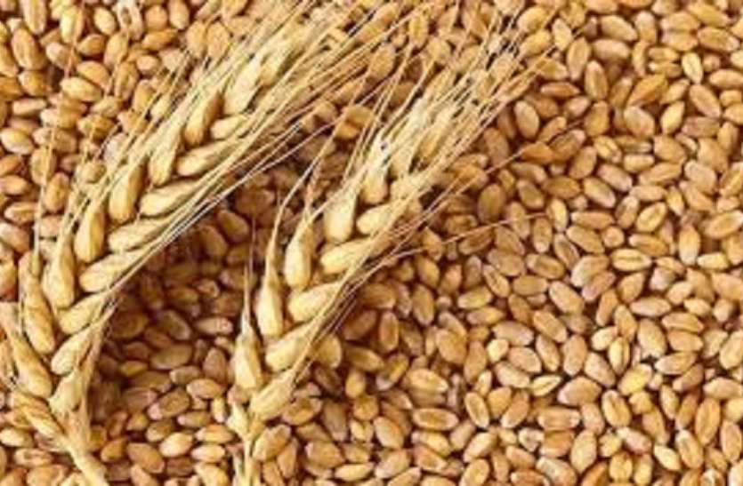 PDS food खाद्य मंत्री रीवा में पीडीएस के 33 ट्रक खाद्यान्न घोटाले की करांगे जांच
