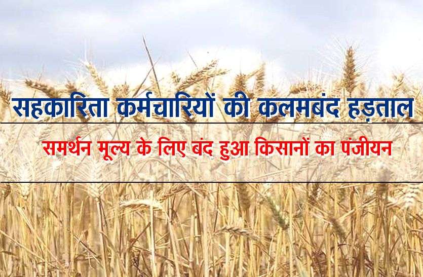 Registration of farmers closed for support price Strike : समर्थन मूल्य के लिए बंद हुआ किसानों का पंजीयन