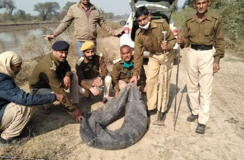 अवैध शराब निर्माण की सूचना देने वाले को अब मिल सकेंगे एक लाख रुपए अवैध शराब निर्माण की सूचना देने वाले को अब मिल सकेंगे एक लाख रुपए