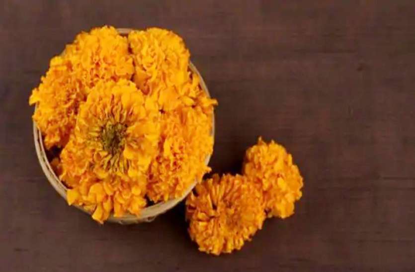 गेंदे के फूलों से बनाएं नेचुरल हेयर कलर, जानें बनाने और इस्तेमाल का तरीका गेंदे के फूलों से बनाएं नेचुरल हेयर कलर, जानें बनाने और इस्तेमाल का तरीका