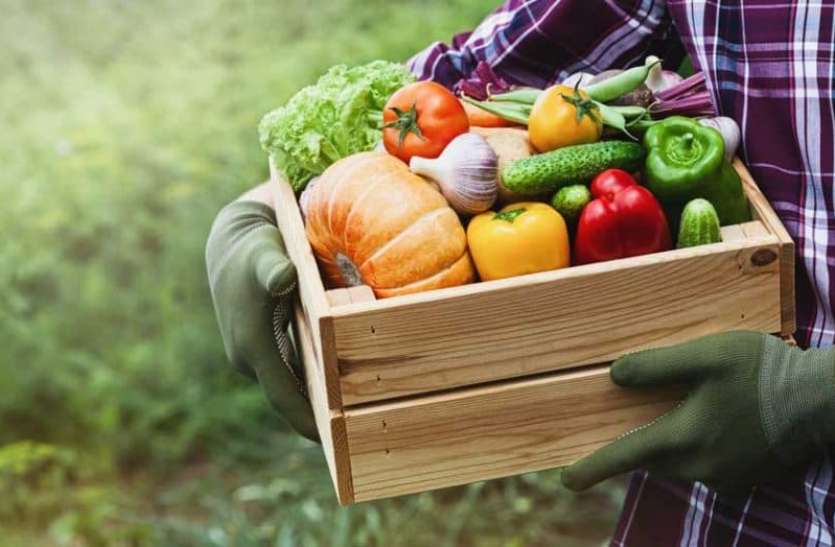 FPO earn Rs 6.5 cr fruits and vegetables sold with the help of app नए कृषि कानूनों का फायदा उठाकर ऐप की मदद से बेची फल और सब्जियां, कमाए 6.5 करोड़ रुपए