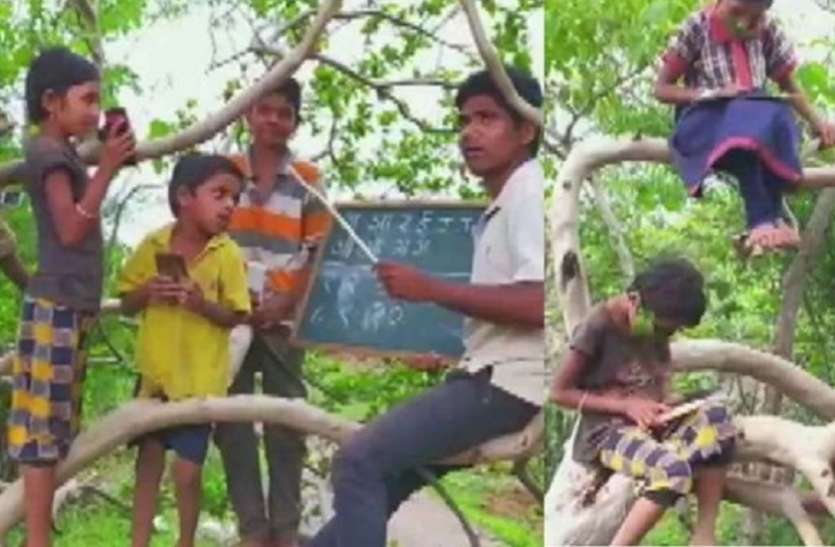 children study on trees इस गांव के बच्चे घर पर नही पेड़ों और छतों पर पढ़ने को हैं मजबूर, जाने इसके पीछे की खास वजह