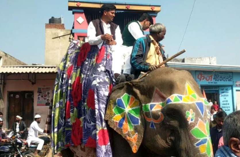 screenshot_from_2021-02-12_09-55-18.jpg हाथी पर सवार होकर निकले भाजपा नेता, लोग बरसाने लगे फूल, जानिए पूरा मामला