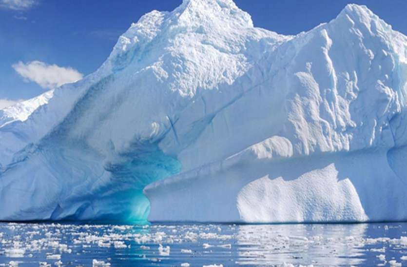 creatures found in Antarctica अंटार्कटिका में 900 मीटर गहराई में पहली बार मिले विचित्र जीव, वैज्ञानिक भी हुए हैरान
