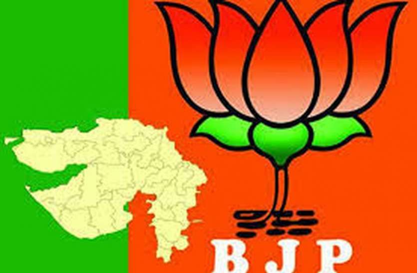 SURAT BJP NEWS: शहर के आठ वार्डों में घूमेगी भाजपा की वाहन रैली SURAT ELECTION: पर्ची बांटने में आए कार्यकर्ताओं को पसीने