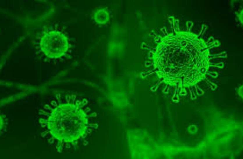 Corona virus Coronavirus इन दो चीजों पर ज्यादा समय तक रहता है जिंदा, स्टडी से हुआ खुलासा