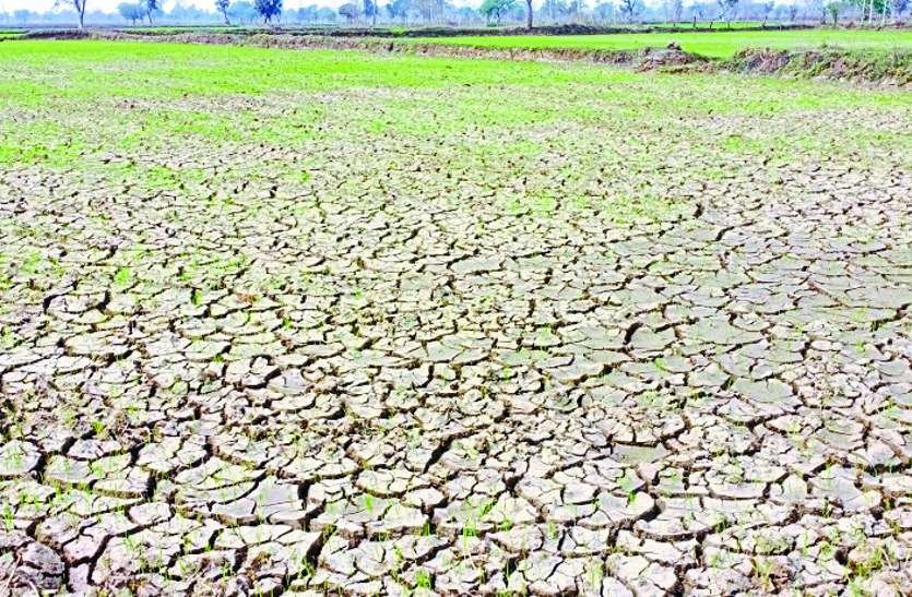 बालोद : फरवरी में ही जवाब देने लगे खेतों के बोर, हैंडपंप से भी निकल रही पतली धार, डबरी से हो रही सिंचाई बालोद : फरवरी में ही जवाब देने लगे खेतों के बोर, हैंडपंप से भी निकल रही पतली धार, डबरी से हो रही सिंचाई
