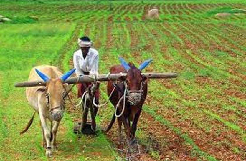 kisan.jpg किसानाें का दुख, हजाराें कराेड़ की फसल उपजा रहे, फिर भी कम हाेने के बजाय हर साल बढ़ता जा रहा बैंकाें का कर्ज