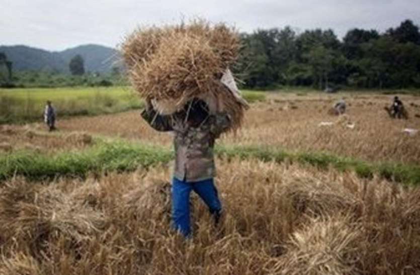 Development of food processing, farmers will get the right produce किसानों की कमाई और रोजगार के लिए इस मंत्रालय ने खोला अपना खजाना