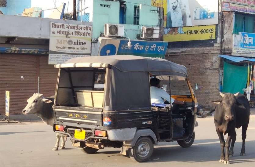 Auto drivers are flouting traffic rules by defrauding the administration प्रशासन को ठेंगा दिखाकर ऑटो चालक उड़ा रहे यातायात नियमों की धज्जियां