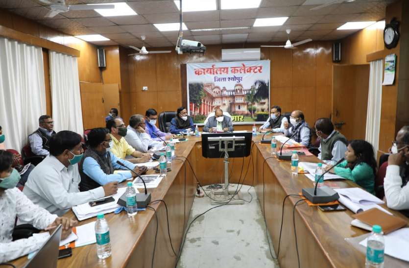 राजस्व मंडल के निर्णय की फर्जी कॉपी बनाने पर दो पर एफआइआर राजस्व मंडल के निर्णय की फर्जी कॉपी बनाने पर दो पर एफआइआर