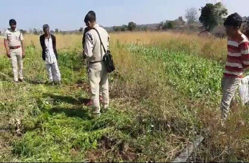 रामपुरा के बाद अब कुकडेश्वर क्षेत्र में अवैध अफीम की करीब २८.९० आरी में मिली रामपुरा के बाद अब कुकडेश्वर क्षेत्र में अवैध अफीम की करीब २८.९० आरी में मिली