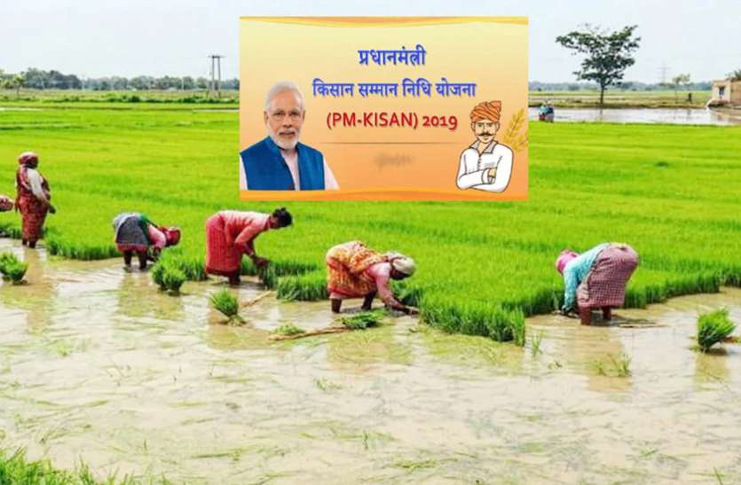 pm_kisan-4.jpg पीएम किसान स्कीम के साथ मिलते हैं ये तीन और बड़े फायदे, आप भी उठा सकते हैं फायदा