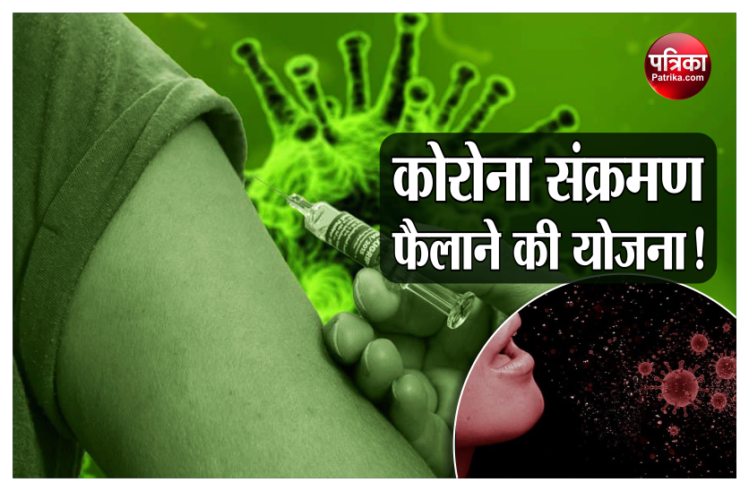 What's the reason behind planning of infecting healthy people with Coronavirus?