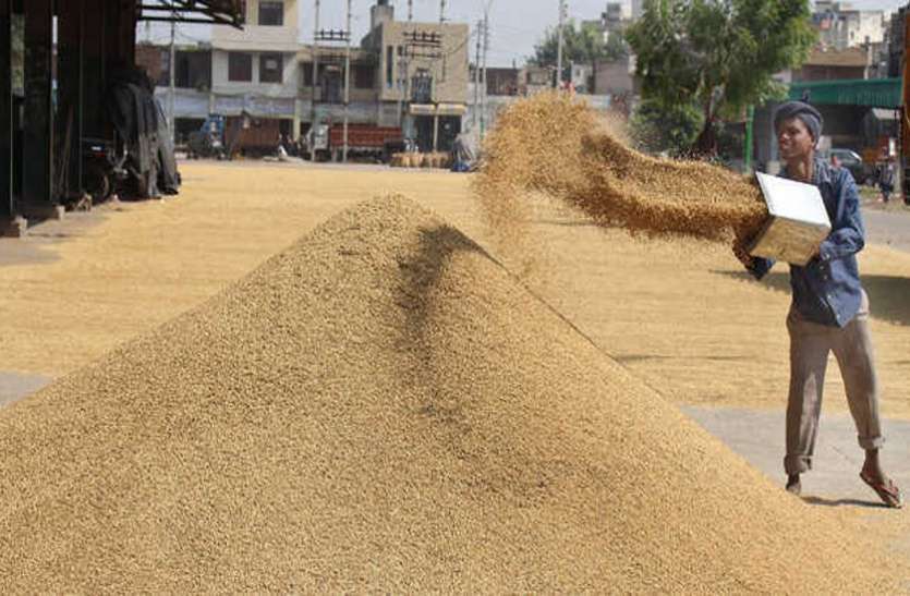 01.jpg पंजाब, हरियाणा को एमएसपी का ऑनलाइन भुगतान करने का निर्देश, छत्तीसगढ़ भी इसे अपनाने में दिखा रहे दिचलस्पी