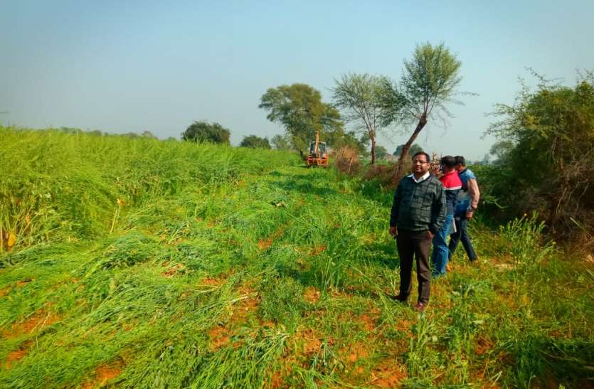 अतिक्रमणकारियों पर 50 हजार रुपए का जुर्माना सरकारी जमीन पर बोई फसल नष्ट कराई, जुर्माना भी