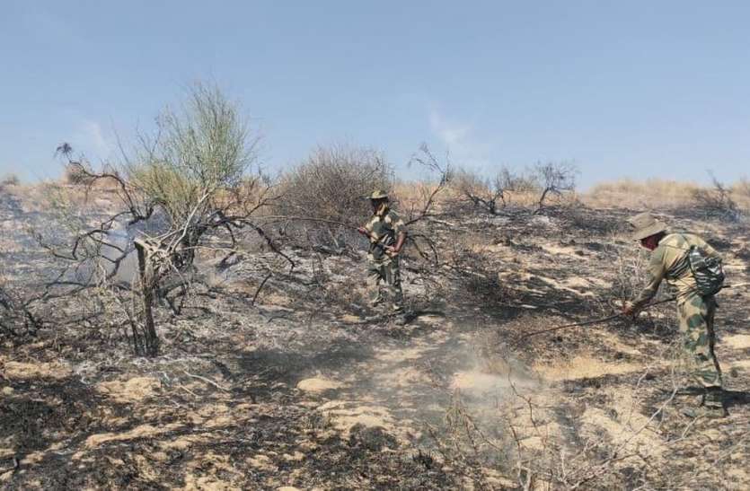 बॉर्डर क्षेत्र में आग, जंगल स्वाह, बीएसएफ जवानों ने पाया काबू बॉर्डर क्षेत्र में आग, जंगल स्वाह, बीएसएफ जवानों ने पाया काबू