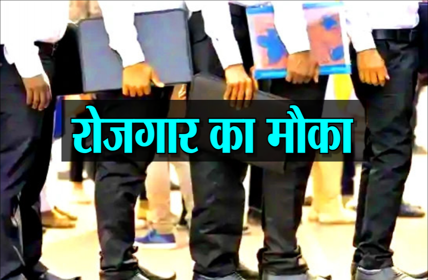 युवाओं को लिए मौका: 25 से 28 फरवरी तक यहां करें आवेदन, 14 हजार रुपए तक की मिलेगी नौकरी युवाओं को लिए मौका: 25 से 28 फरवरी तक यहां करें आवेदन, 14 हजार रुपए तक की मिलेगी नौकरी